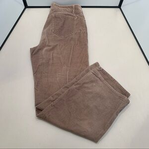 LL Bean Womens Size 12 Reg Brown Straight Leg Cotton Blend Velour Pants